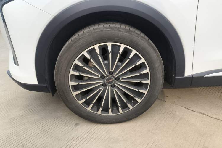 Used  Stellar 2023 400T Two-Wheel Drive Comfort Flyfish Edition
