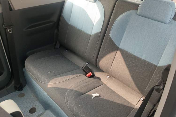 Used  Panda 2024 Panda Mini 200km Endurance Bear
