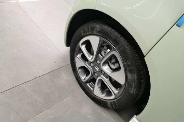 Used ORA White Cat 2022 Xiaoyue Mao Edition 360 km Luxury Model Lithium NMC
