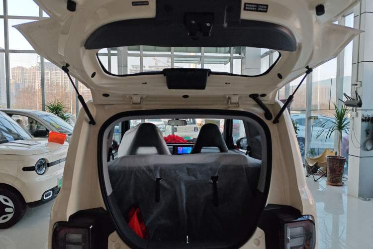 Used  Panda 2025 210 km – Yuanqi Bear
