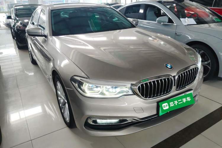 Used BMW 5 Series New Energy 2019 530Le Luxury Package
