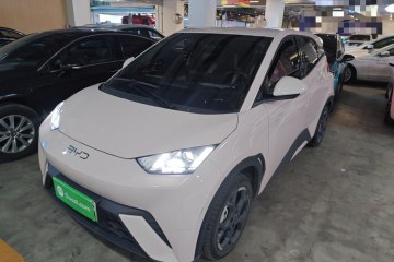 Used BYD Seagull 2025 305 km Free Version