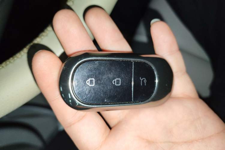 Used Leapmotor C11 2023 Range-Extended 180 Comfort Edition
