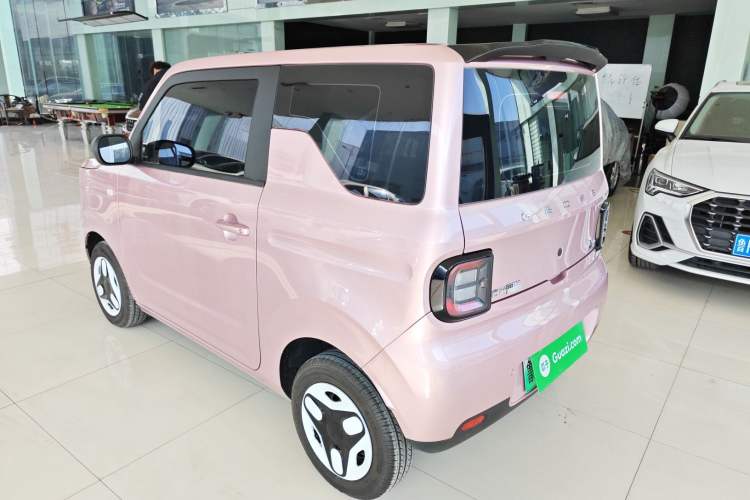 Used  Panda 2025 210 km – Yuanqi Bear