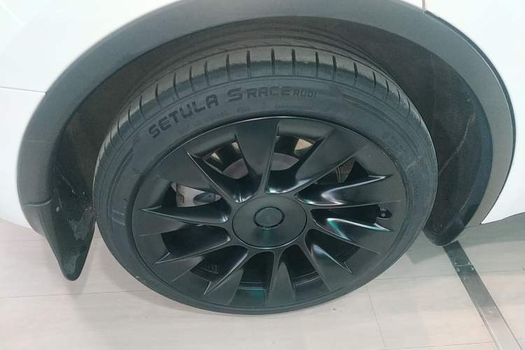 Used Tesla Model Y 2021 Standard Range Rear-Wheel Drive Version
