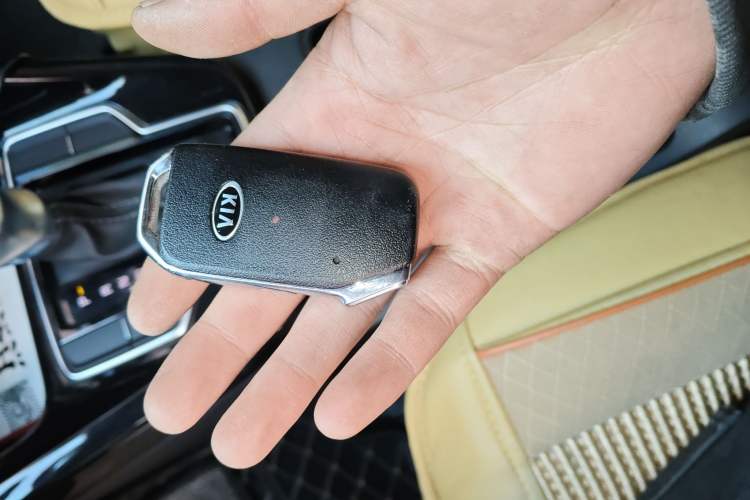 Used Kia Sportage R 2019 2.0L Automatic Smart Luxury Edition