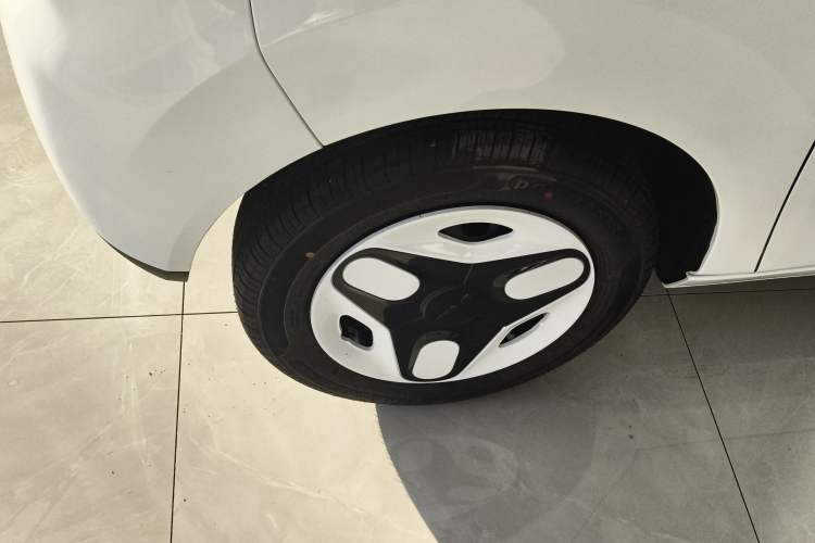 Used  Panda 2025 210 km – Yuanqi Bear
