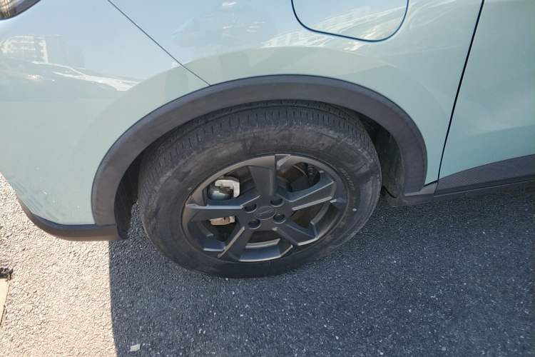 Used Geometry E Firefly 2022 320KM Cute Tiger 4-Seater