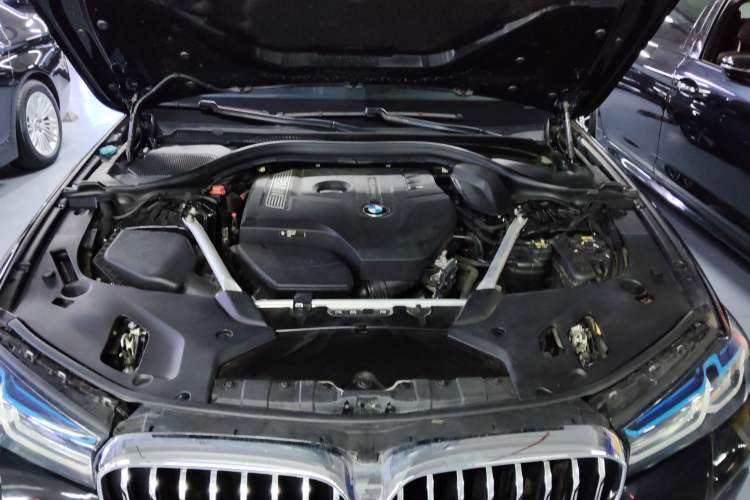 Used BMW 5 Series 2019 Facelifted 530Li Leading Edition Luxury Package
