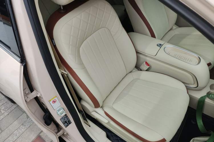 Used ORA Good Cat 2023 401 km Standard Range Luxury Version Lithium Iron Phosphate
