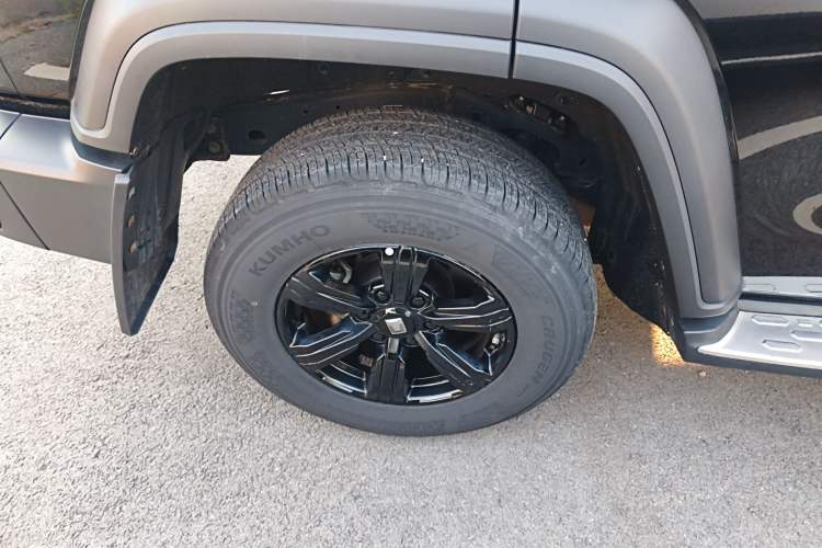 Used Tank 300 2024 2.0T Conqueror