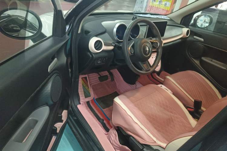 Used ORA Black Cat 2022 301km "Cute Pet" Version – Lithium Iron Phosphate
