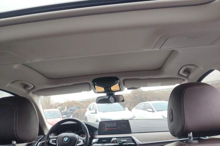 Used BMW 5 Series New Energy 2019 530Le Luxury Package
