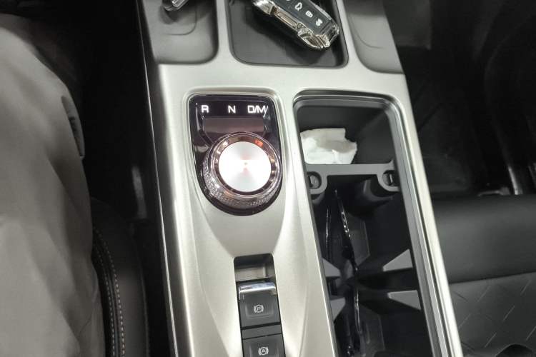 Used Haval DARGO 2024 2.0T DCT Chinese Rural Dog Edition
