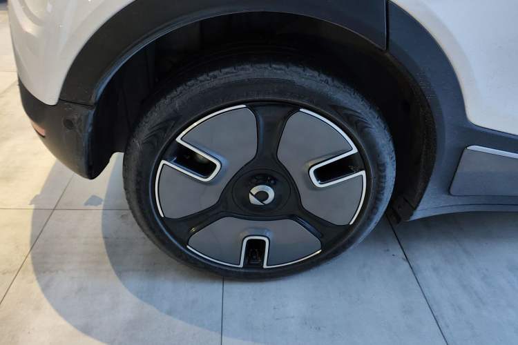 Used  #1 2022 Premium Edition