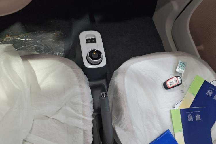 Used  Panda 2025 210 km – Yuanqi Bear
