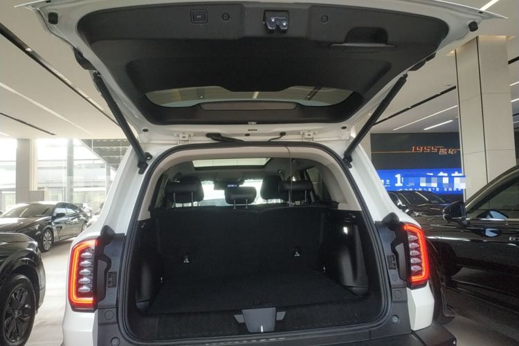 Used Haval DARGO 2022 2.0T DCT 4x4 Chinese Rural Dog Hunting Edition