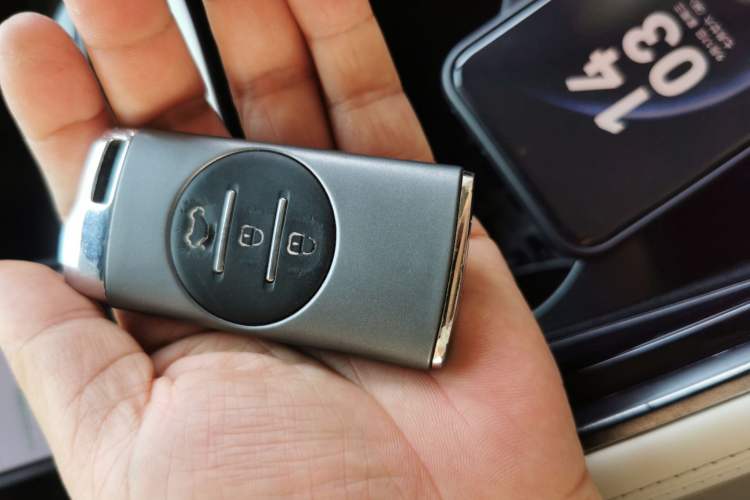 Used  Lingyun 2024 300T Two-Wheel Drive Starlight Edition
