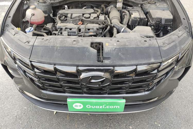 Used Hyundai Tucson 2023 Tucson L 1.5T Automatic Two-Wheel Drive GLX Elite Edition
