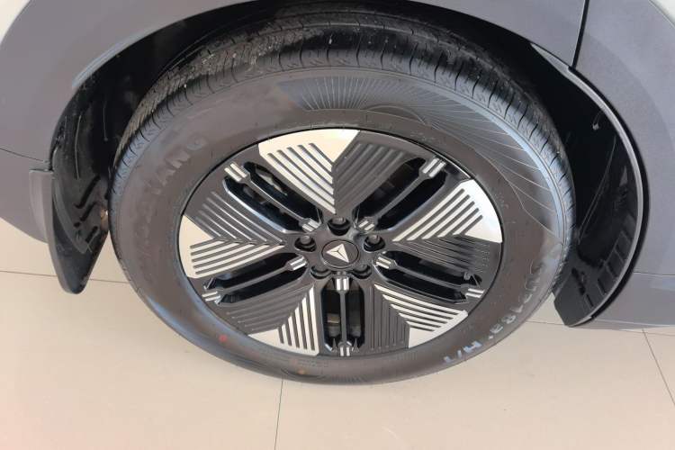 Used  S05 2024 200Max Range-Extended Long-Range Version
