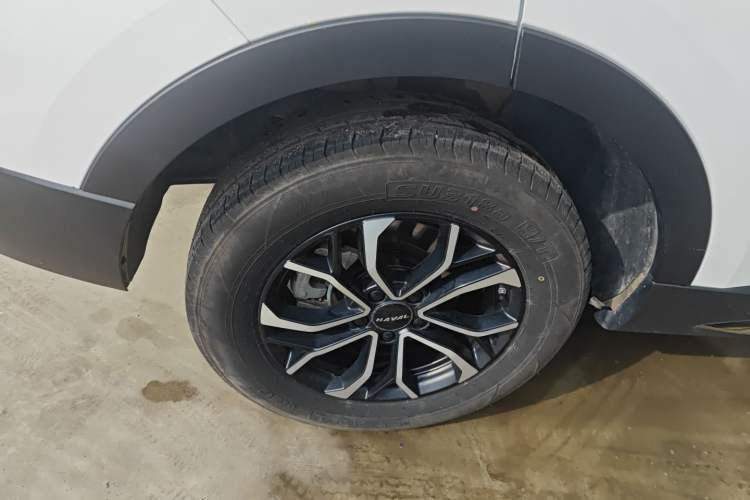 Used Haval H6 2023 National Trend Edition 1.5T Automatic Urban Version
