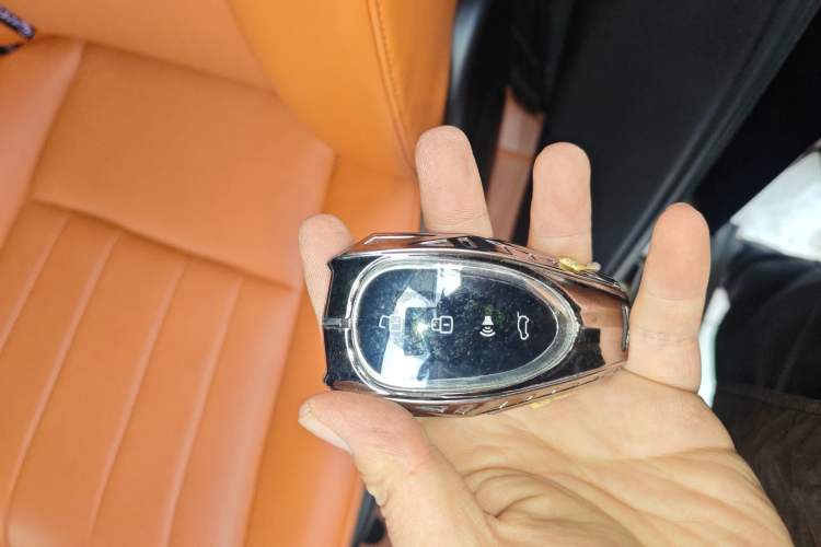 Used Wey Lanshan 2023 Four-Wheel Drive Ultra-Long Range Version