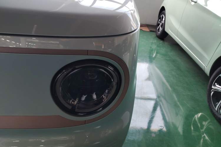 Used  Panda 2024 Panda Mini 200km Endurance Bear
