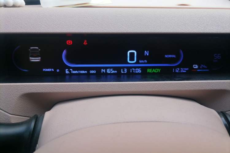 Used  Panda 2024 Panda Mini 200km Endurance Bear
