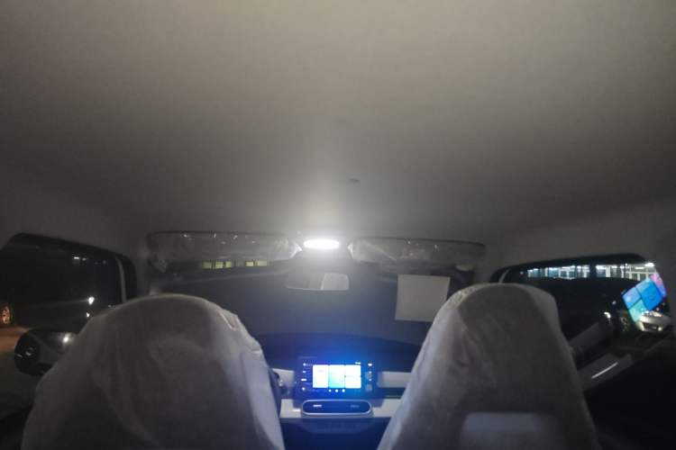 Used  Panda 2025 210 km – Yuanqi Bear
