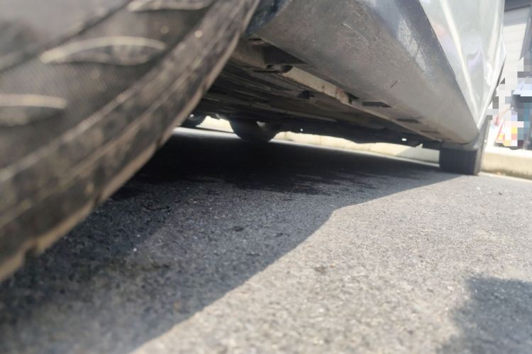 Used Ford Focus 2015 Hatchback 1.6L Manual Comfort Edition
