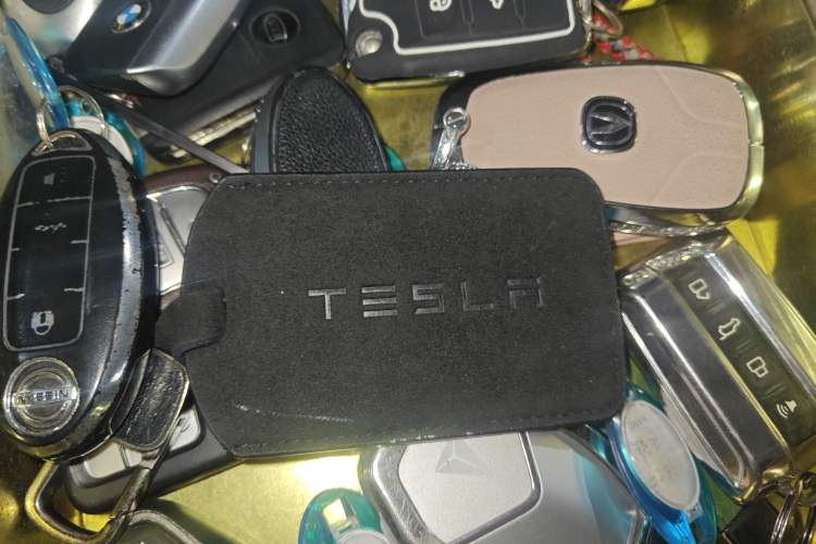 Used Tesla Model Y 2022 Rear-Wheel-Drive Version
