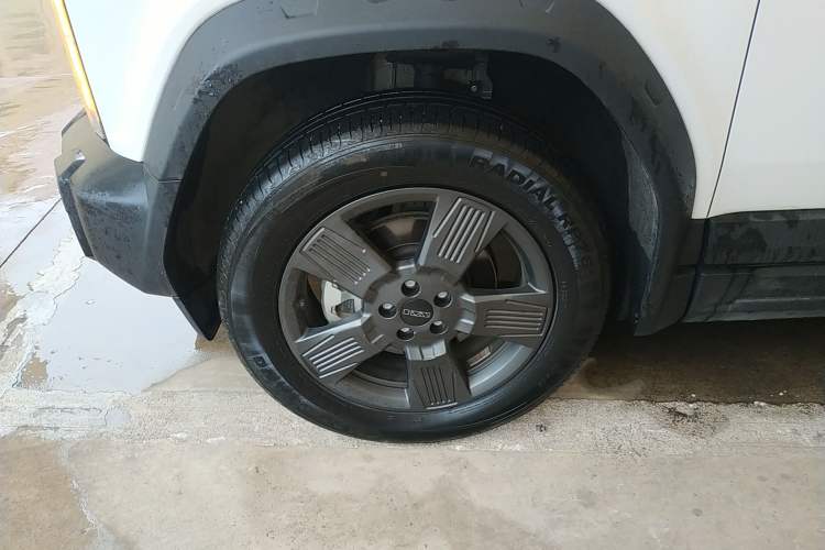 Used  03 2024 501km Two-Wheel Drive Long-Range Version