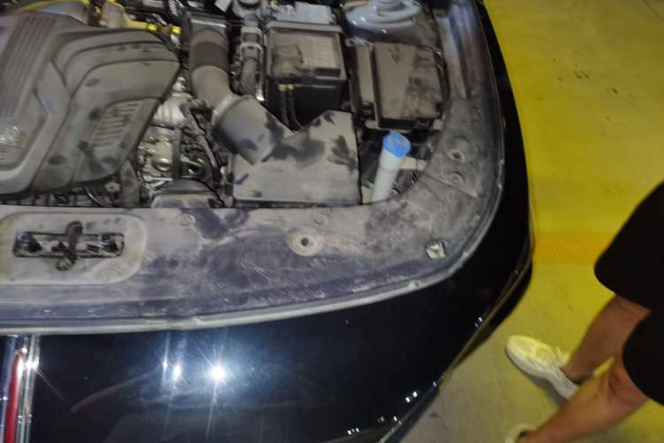 Used Hongqi H5 2024 2.0T Automatic Smart Connect Flagship Edition
