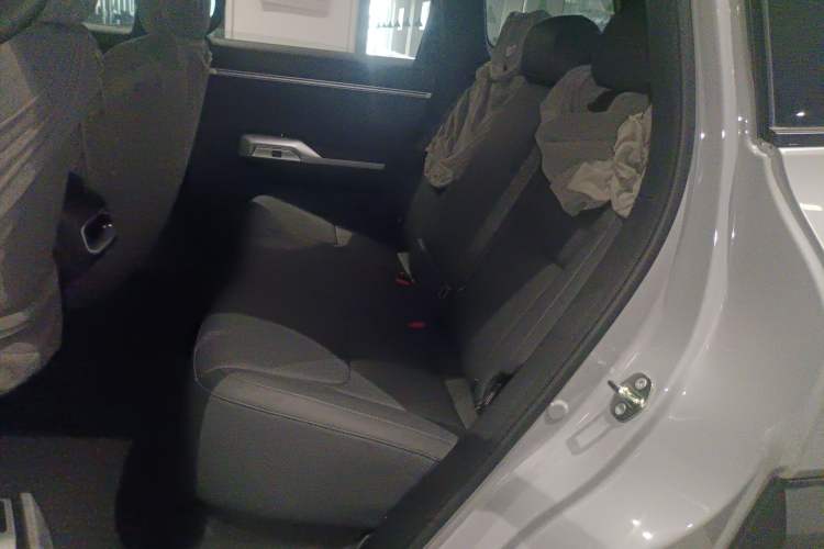 Used  G318 2024 Two-Wheel Drive Air Suspension Version
