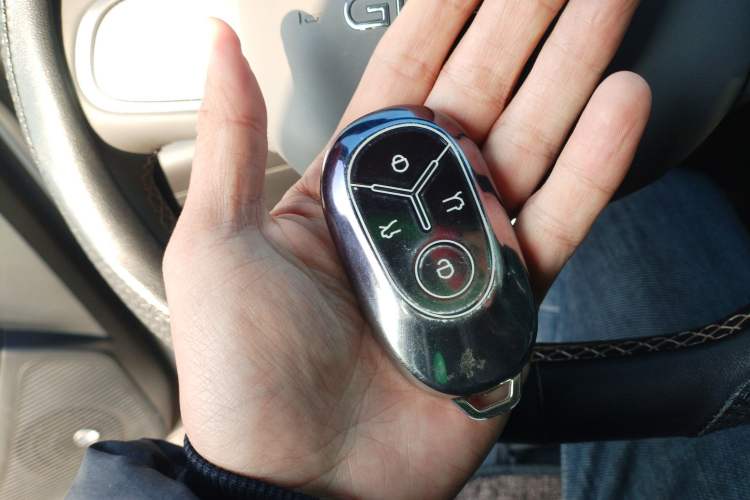 Used  Geome 2025 310km Youth Edition