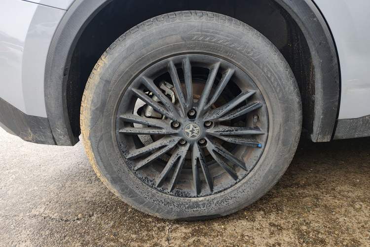 Used Venucia V 2023 260T Idol Edition Pro