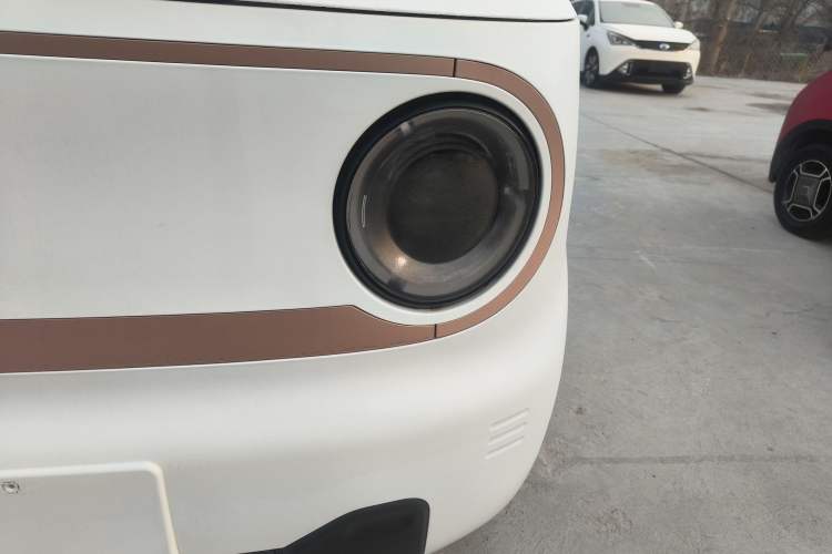 Used  Panda 2024 Panda Mini 200km Endurance Bear
