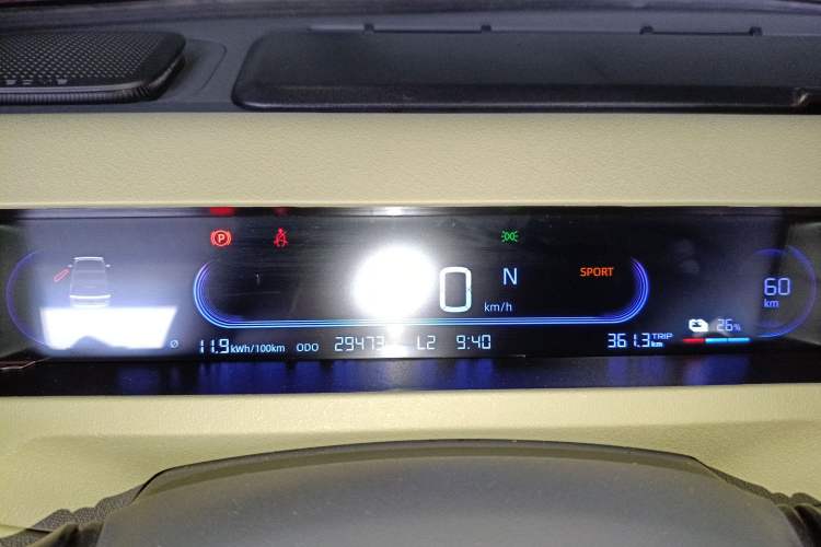 Used  Panda 2024 200km Panda Rider