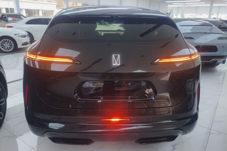 Used  07 2024 Max Pure Electric Edition
