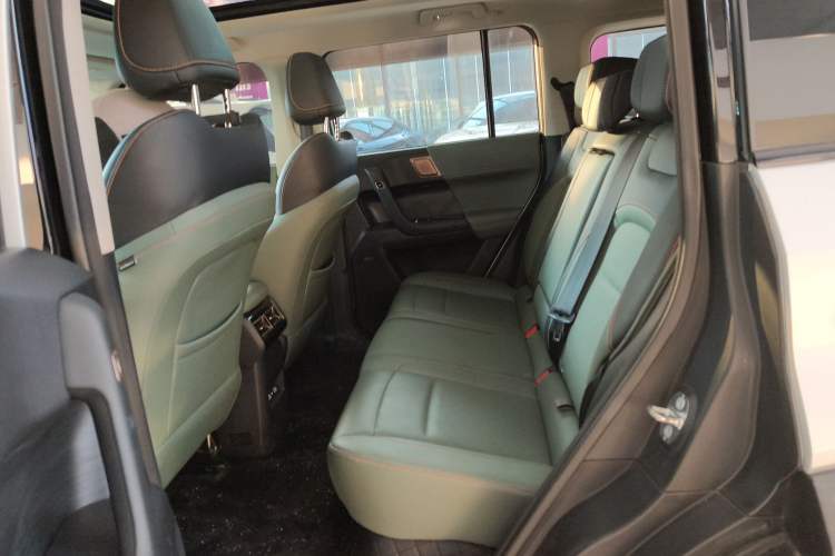 Used  03 2024 501km Two-Wheel Drive Long-Range Version