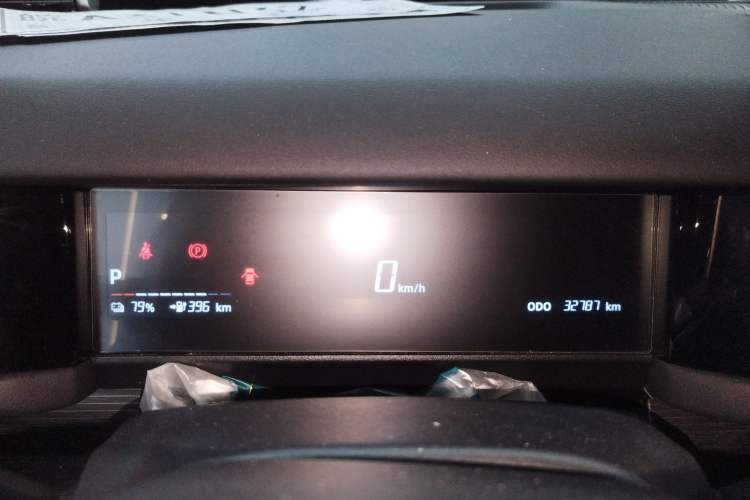 Used  03 2024 501km Two-Wheel Drive Long-Range Version