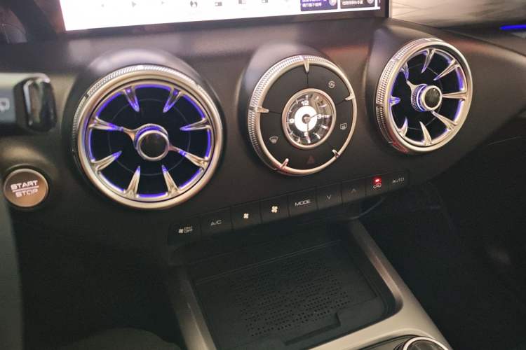 Used Tank 300 2024 2.0T Crosser
