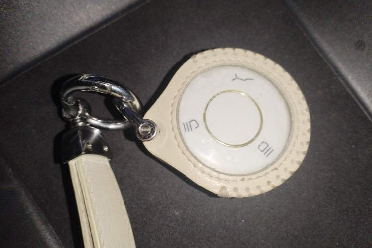 Used NETA X 2023 400
