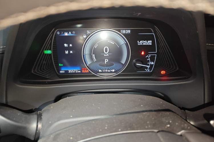 Used Lexus UX New Energy 2020 300e Pure·Joy Edition
