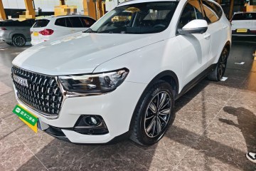 Used Haval H6 2023 National Trend Edition 1.5T Automatic Champion Version