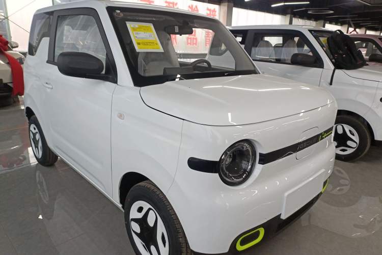 Used  Panda 2025 210 km – Yuanqi Bear