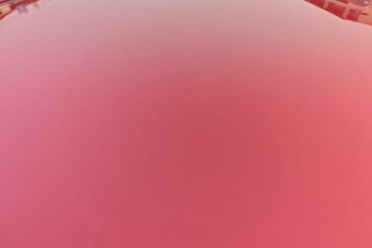 Used Hyundai Verna 2016 1.4L Automatic Cool Edition GLS