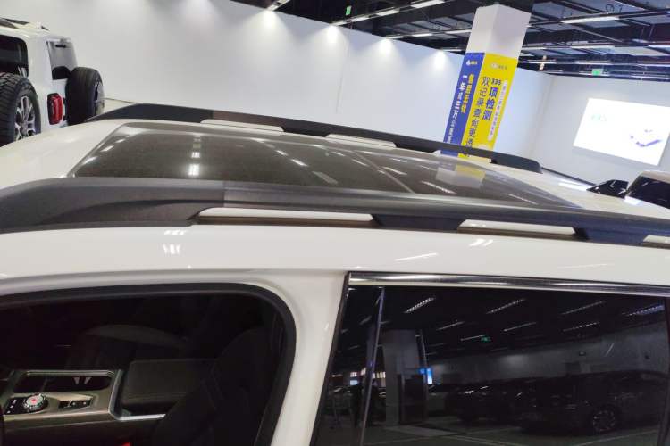 Used Haval DARGO 2024 2.0T DCT Chinese Rural Dog Edition