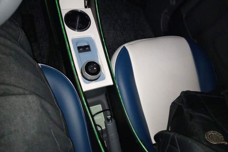 Used  Panda 2024 Panda Mini 200km Endurance Bear
