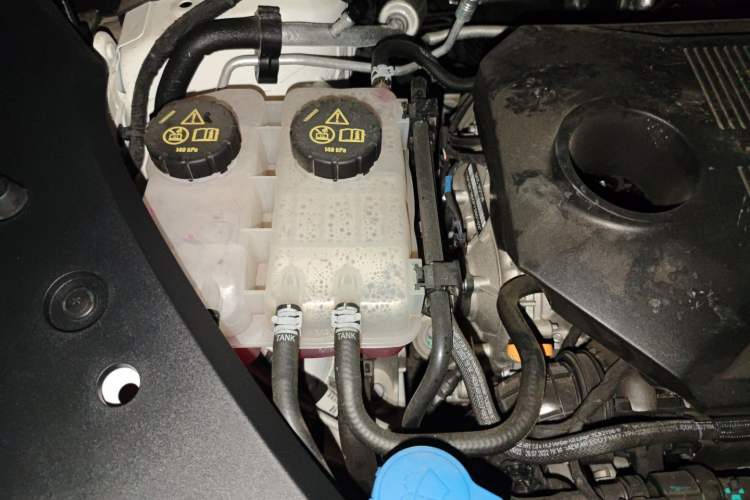 Used Roewe RX5 2023 1.5T Elite Edition
